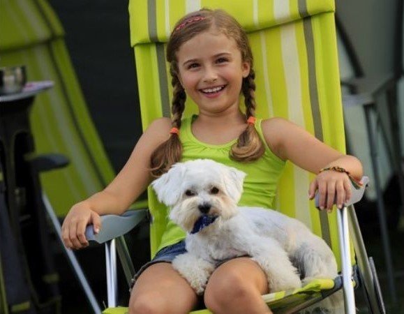 Camping mit Hund in Belgien