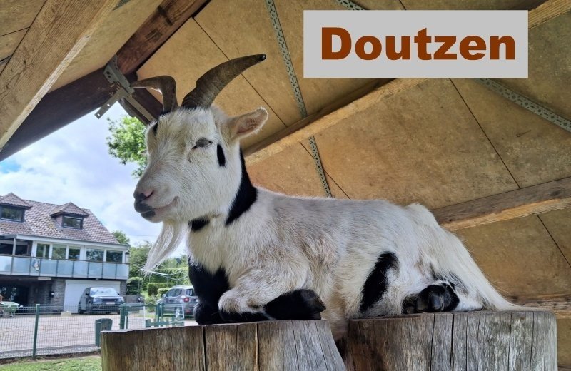 Doutzen 6890cfab9564a